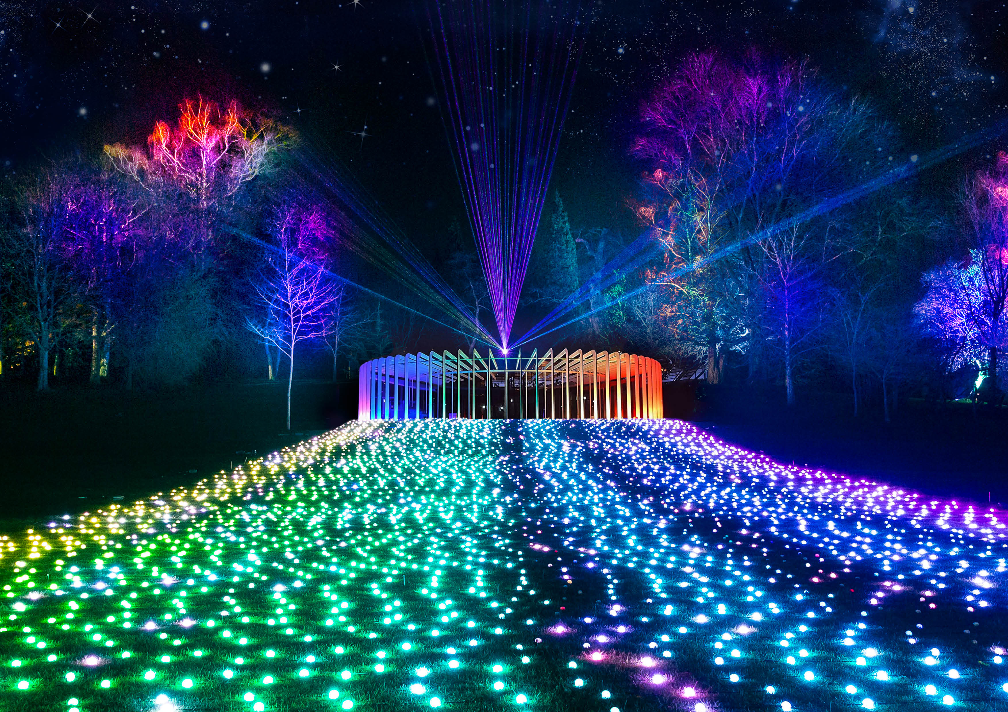 Lightscape at Vivid Sydney